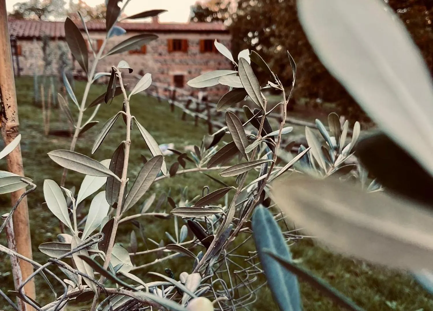 Casa di campagna Casetta Di Ugolino Radicofani Italia