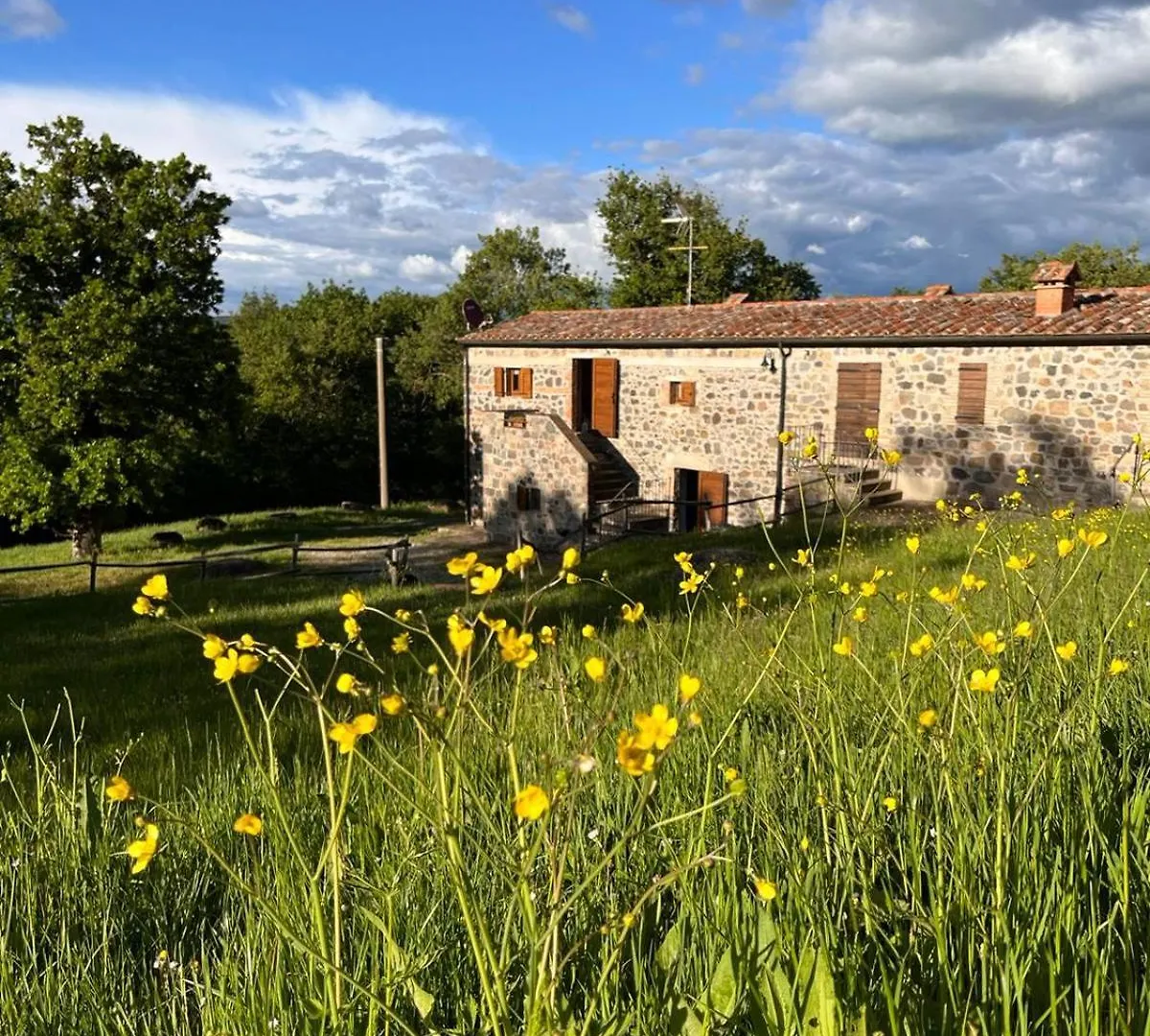 Casa di campagna Casetta Di Ugolino Radicofani Italia